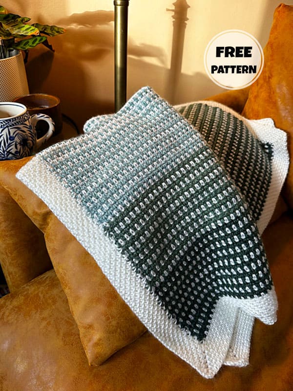 Chic Crochet For Beginners Blanket Pattern Free