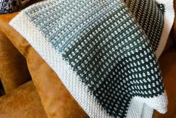 chic-crochet-for-beginners-blanket-pattern-free